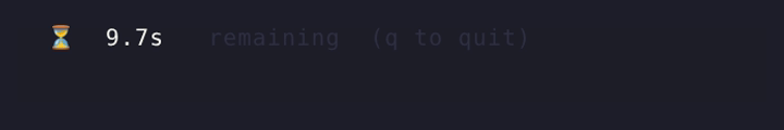 timer demo