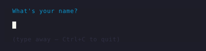 text input demo
